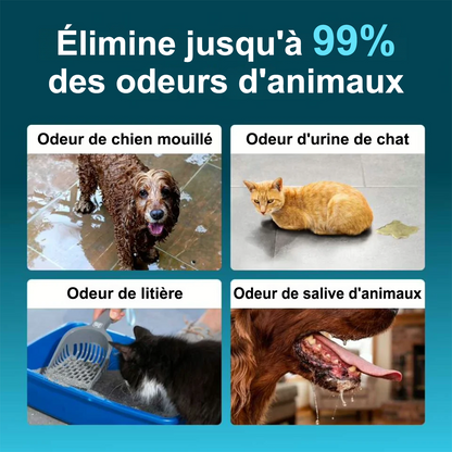 🔥 Dernier Jour : -50% | Purificateur Anti-Odeurs pour Chat et Chien | Neutralise les Odeurs de Litière, Urine et Animaux